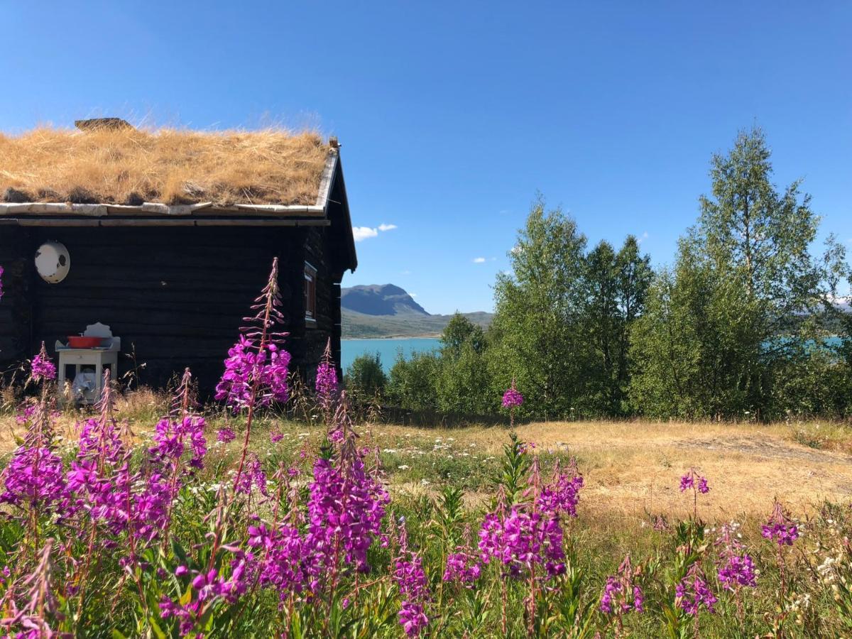 Brimi Fjellstugu Hotel Tessand Bagian luar foto